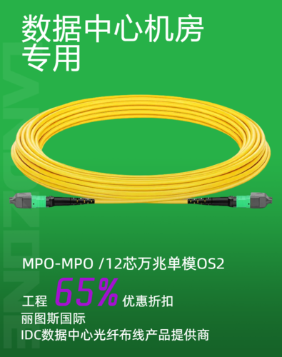 MPO-MPO 单模12芯 OS2万兆光纤跳线 1米 丽图斯LANDZONE预端接 数据中心机房用 &nbsp;&nbsp;